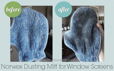 The Guaranteed Method for Dusting Your Window Screen