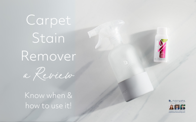 A Review of the Amazing Norwex Carpet Stain Remover!