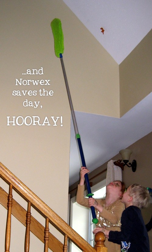 Norwex saves the day