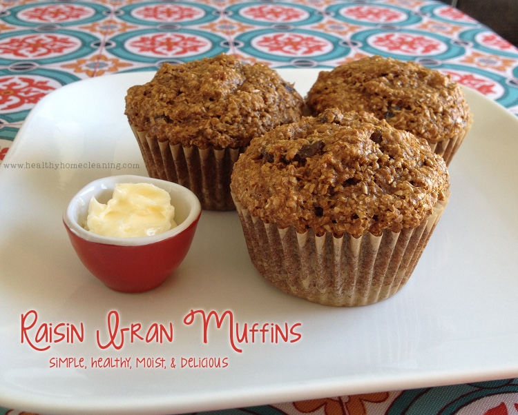 Raisin Bran Muffin Recipe