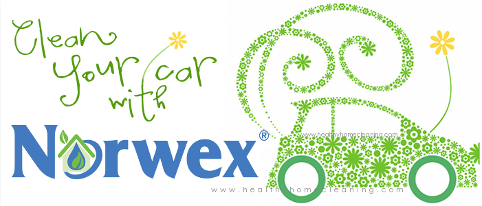 Spring Clean Car with Norwex