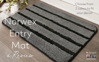 Norwex Entry Mat: Review