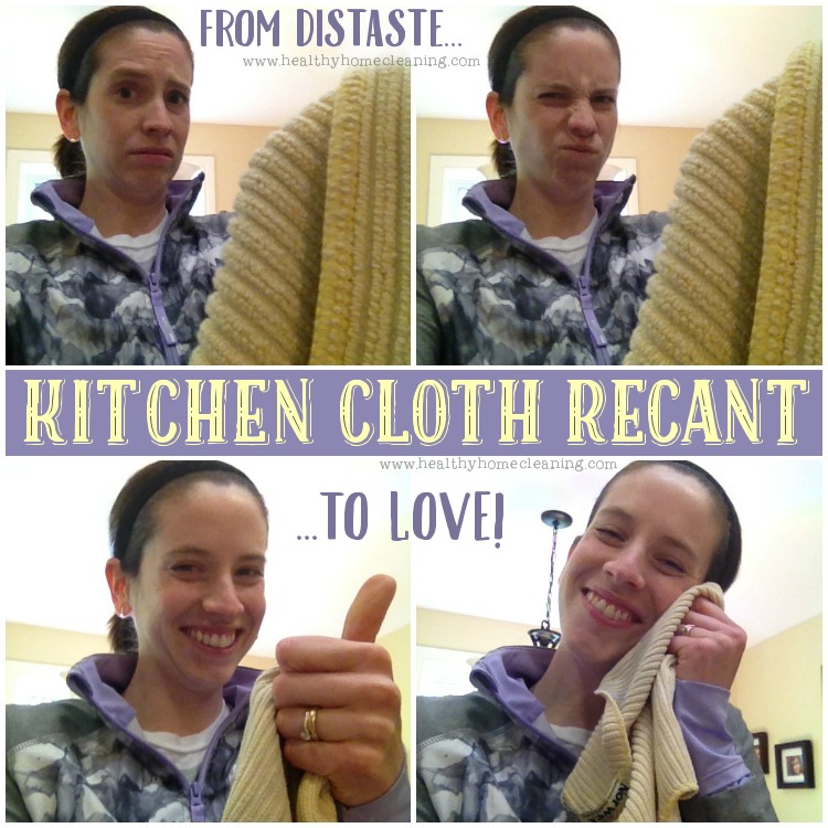 Which Norwex Kitchen Cloth(s) You Need in Your Life - Honest Norwex Reviews