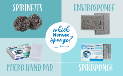 Which Sponge For Which Job {A How To Guide}