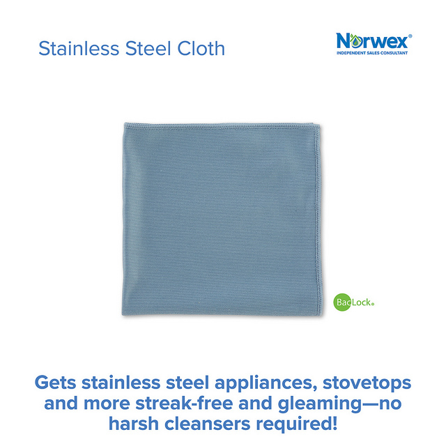 Stainless steel cloth