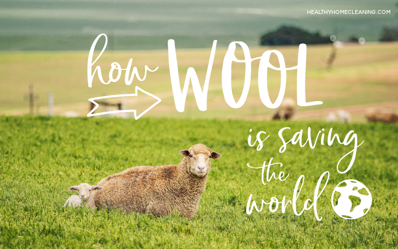 How Wool is Saving the World - Benefits of Wool!