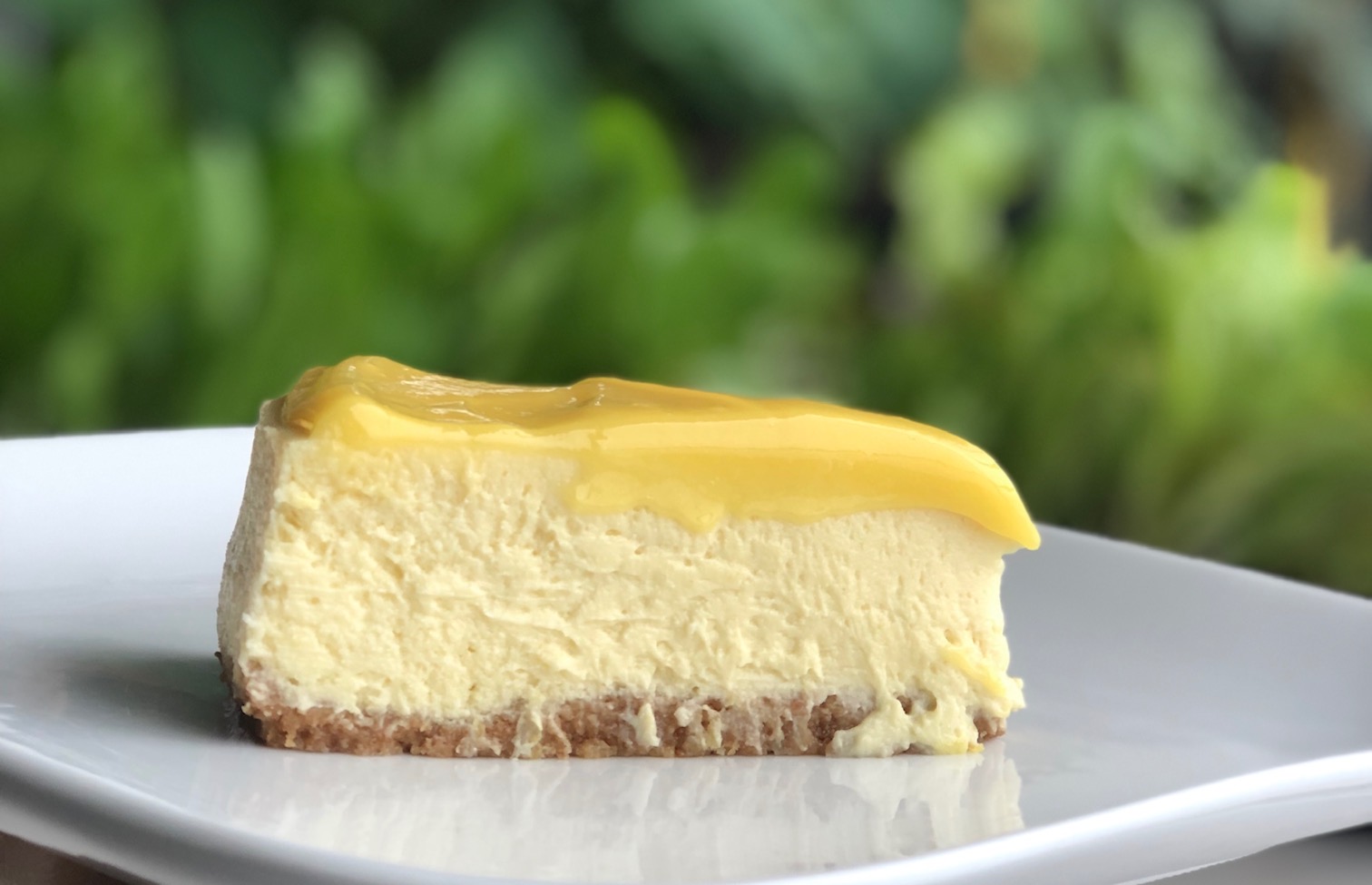 Lemon Cheesecake with Lemon Curd topping - Recipe