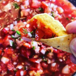 Fresh-salsa-recipe