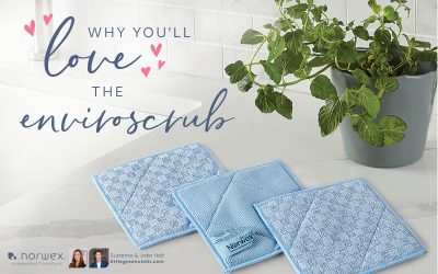 Why You’ll Love the EnviroScrub from Norwex – A Review