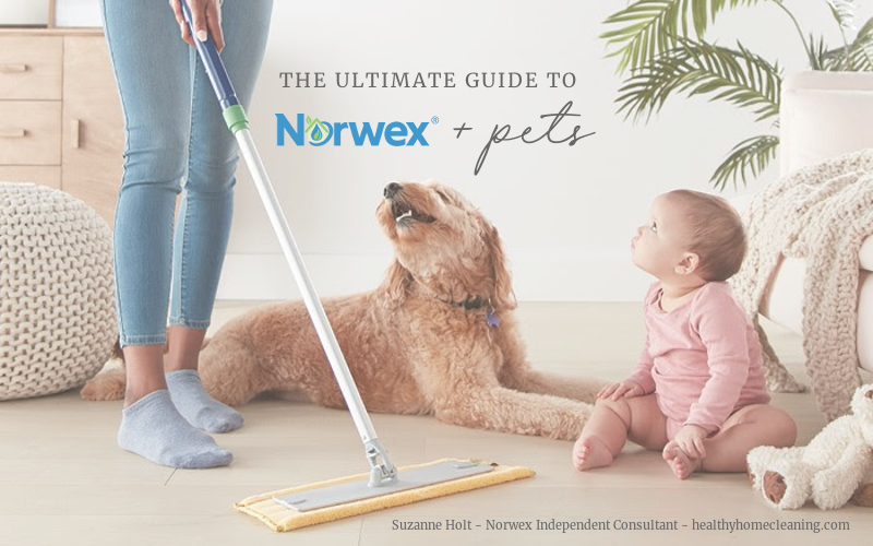 The ultimate guide to Norwex & Pets