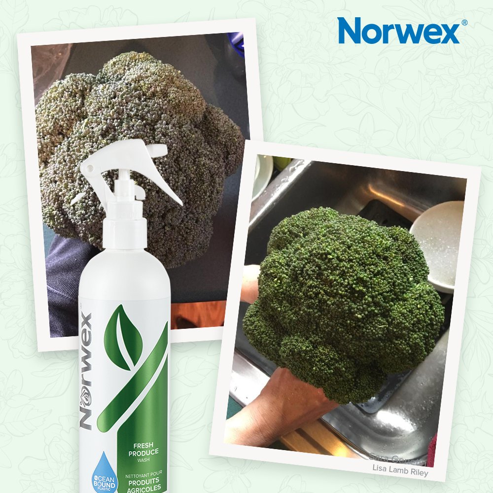 https://healthyhomecleaning.com/wp-content/uploads/sites/67/2021/03/Fresh_Produce_Wash_Broccoli.jpeg