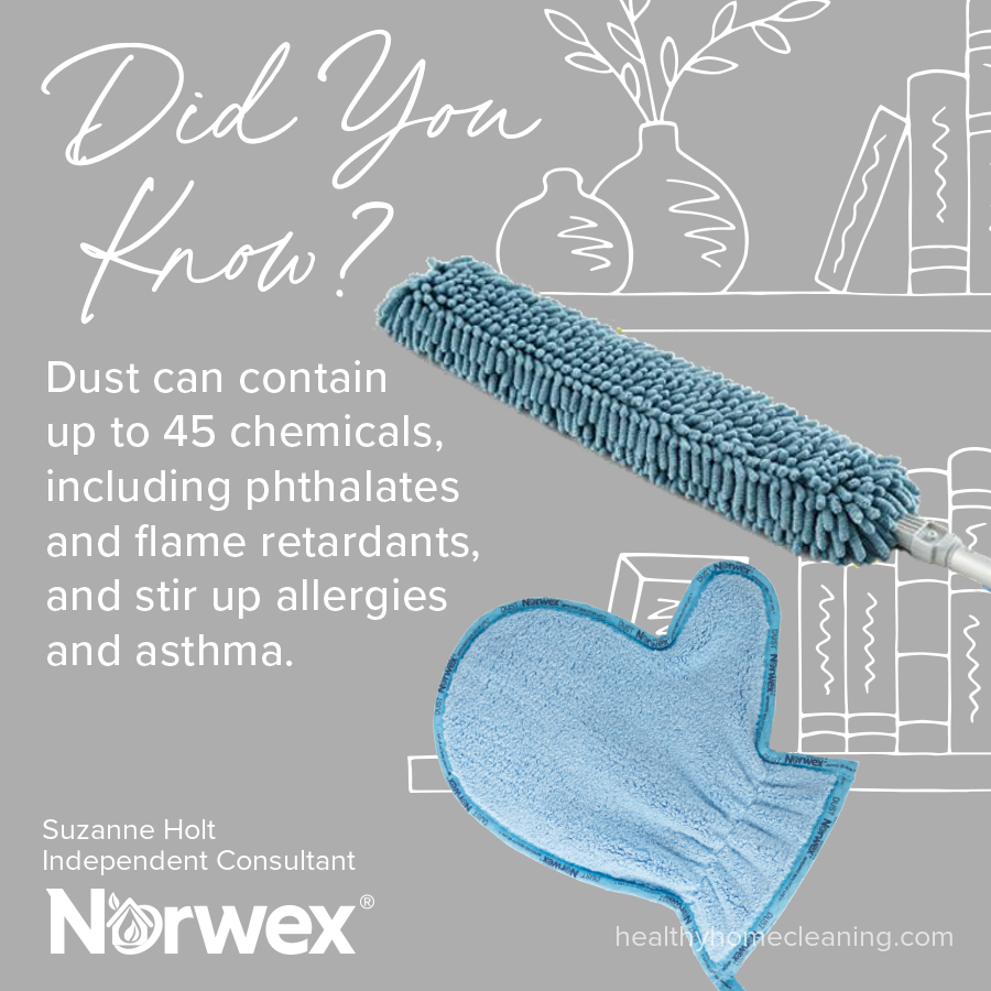 NORWEX DUSTING MITT GRAPHITE Gray Microfiber AntiBac Washable Reuse Dust Wet Dry