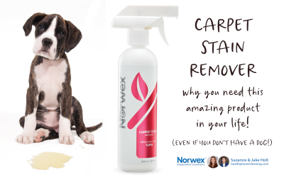 A Review of the Amazing Norwex Carpet Cleaner!