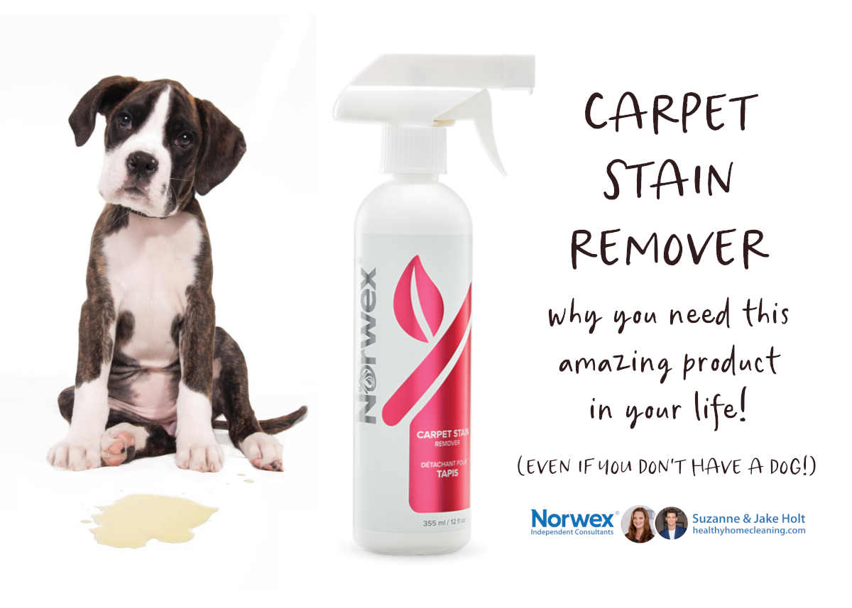 Norwex Carpet Stain Remover - Review