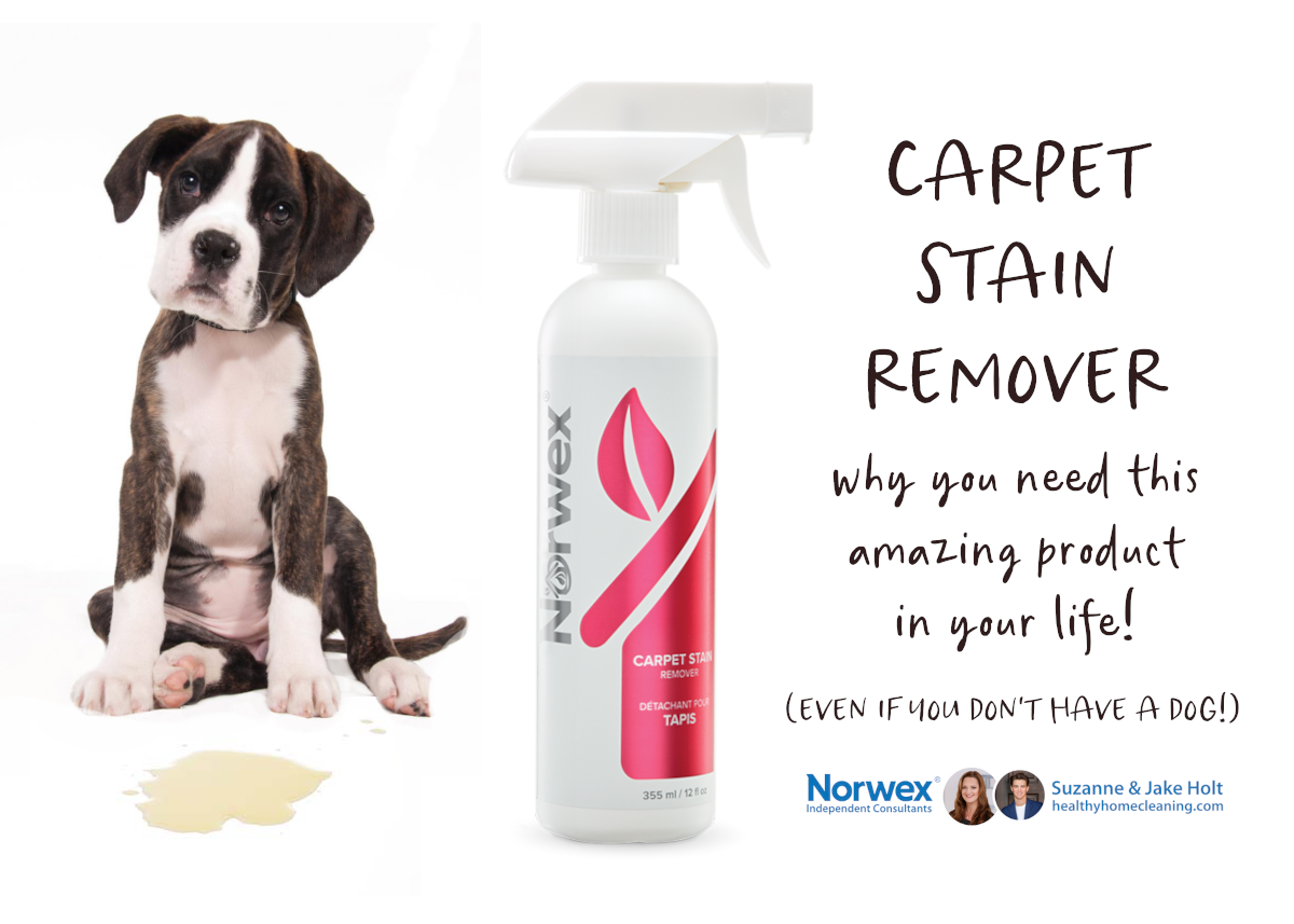 Norwex Carpet Stain Remover Review