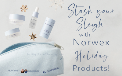 Stash your Sleigh with New Holiday Norwex Products!