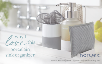 A Review of the Porcelain Sink Organizer