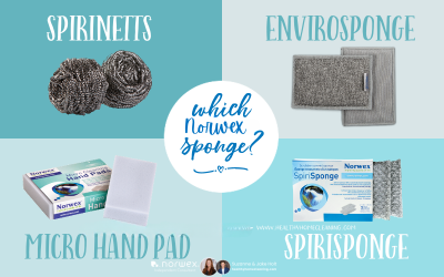 Which Sponge For Which Job {A How To Guide}