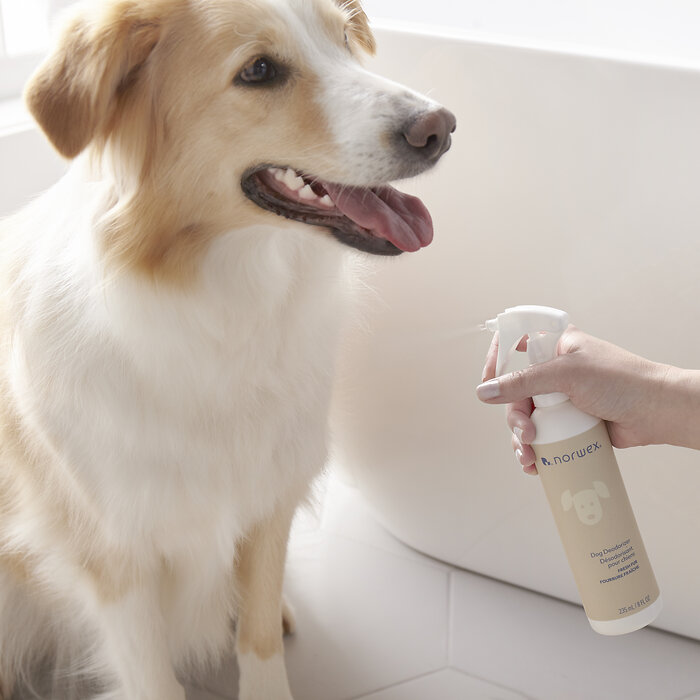 Dog Deodorizer