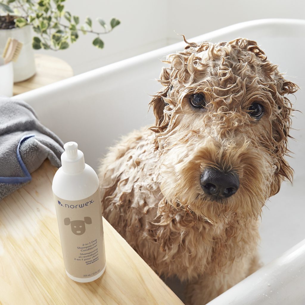 2 in 1 Dog Shampoo and Conditioner