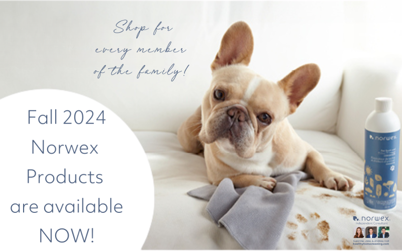 Shop for Every Member of the Family- New Fall Norwex Products are Available NOW!