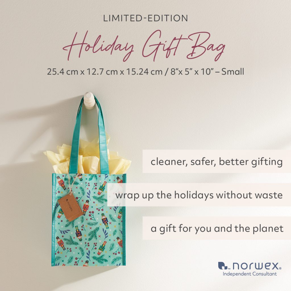 Norwex holiday collection- gift bag