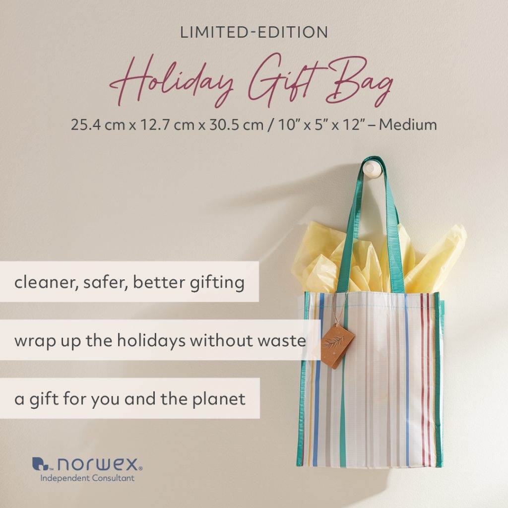 Norwex holiday collection- gift bag