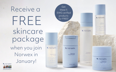 Join Norwex in January and Receive a FREE Skincare Add-on Package!