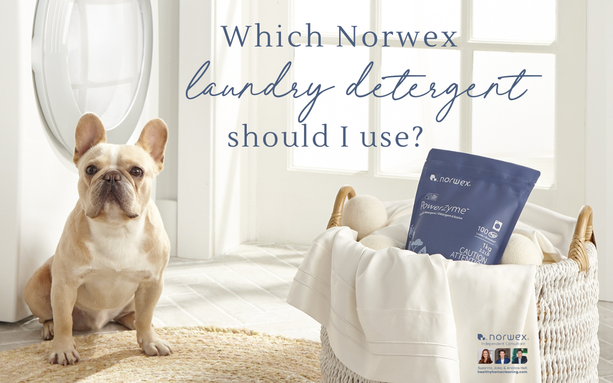 which Norwex alundry detergent
