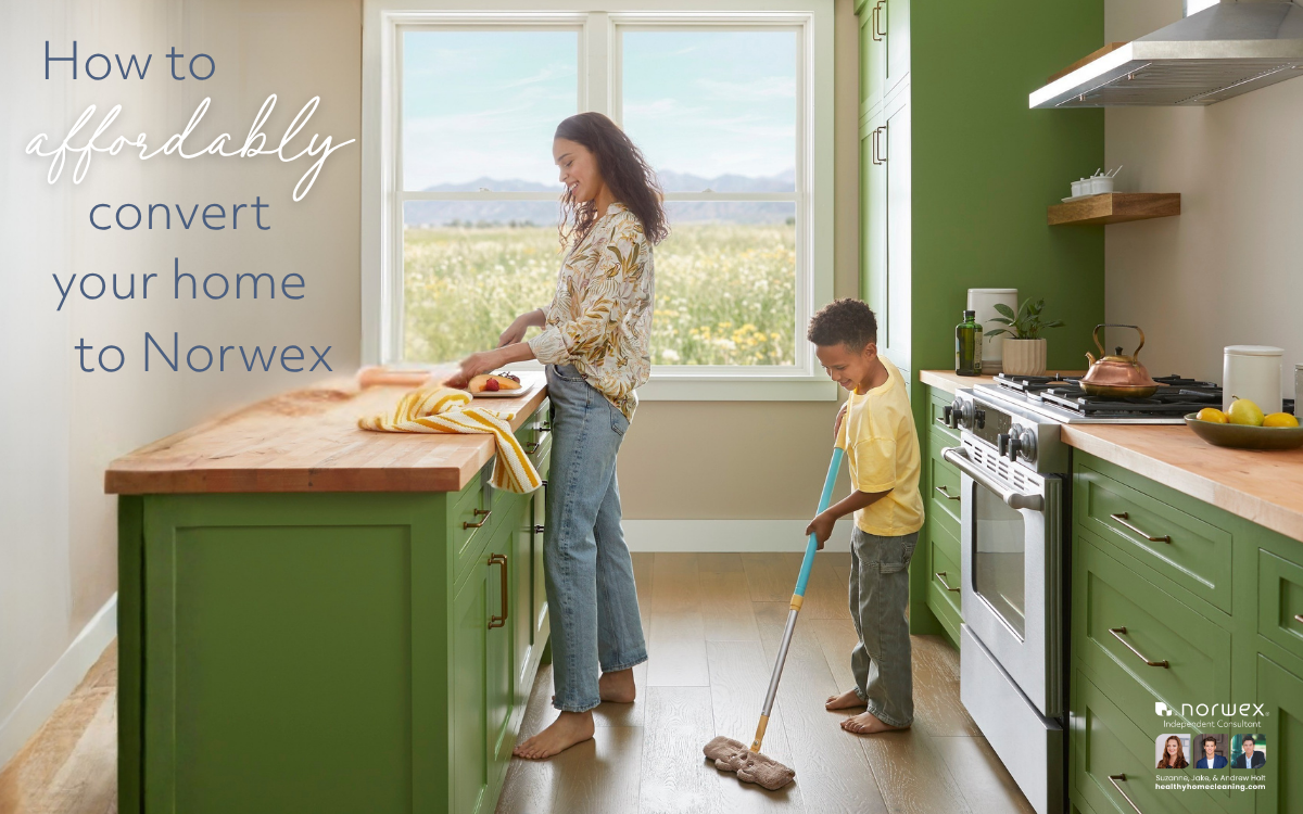 How to afford a Norwex update